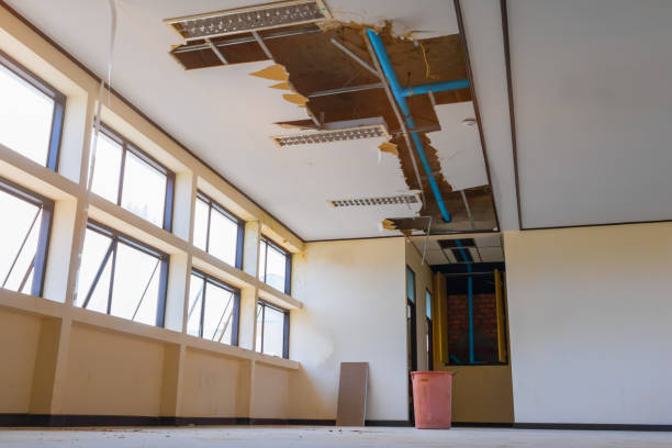 Best Mold removal after water damage  in St Pete Beach, FL