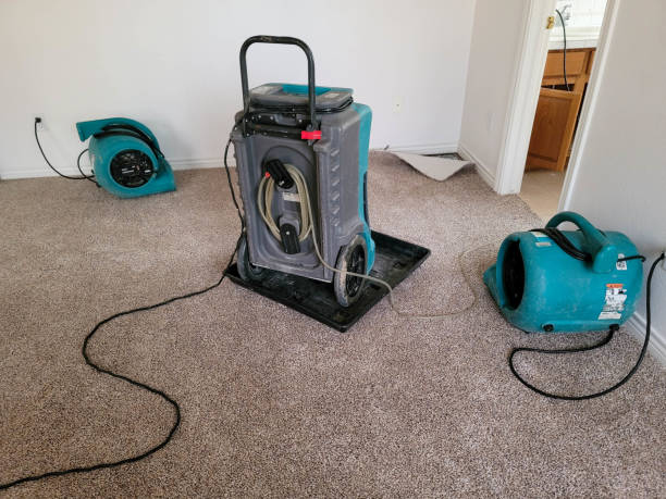 Best Emergency water damage restoration  in St Pete Beach, FL