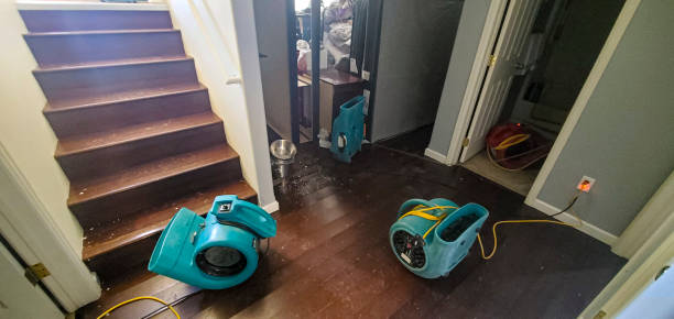 Best Flood restoration services  in St Pete Beach, FL