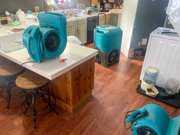 Best Fire Damage Restoration  in St Pete Beach, FL