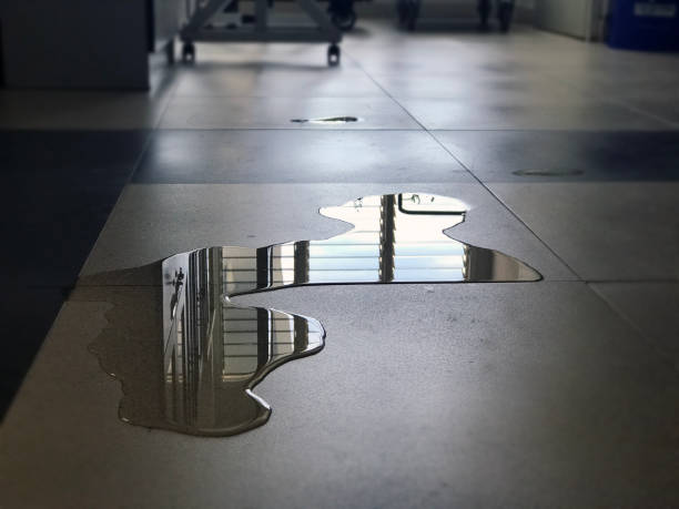 Best 24-hour water damage restoration  in St Pete Beach, FL