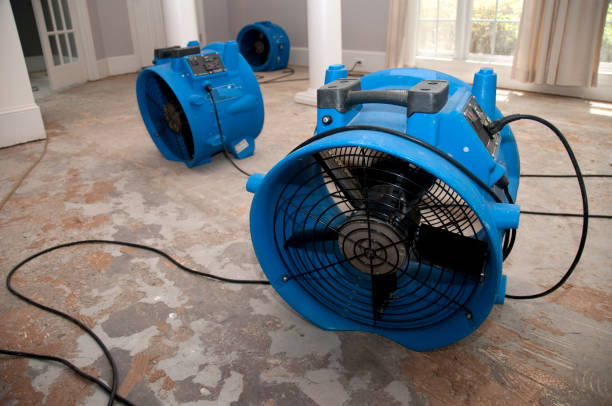 Reliable St Pete Beach, FL Water damage restoration Solutions