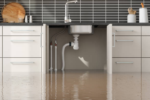 Best Water damage cleanup near me  in St Pete Beach, FL