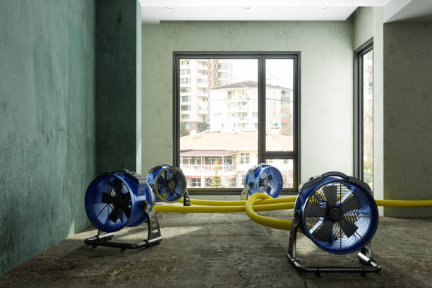 Best Water damage contractors near me  in St Pete Beach, FL