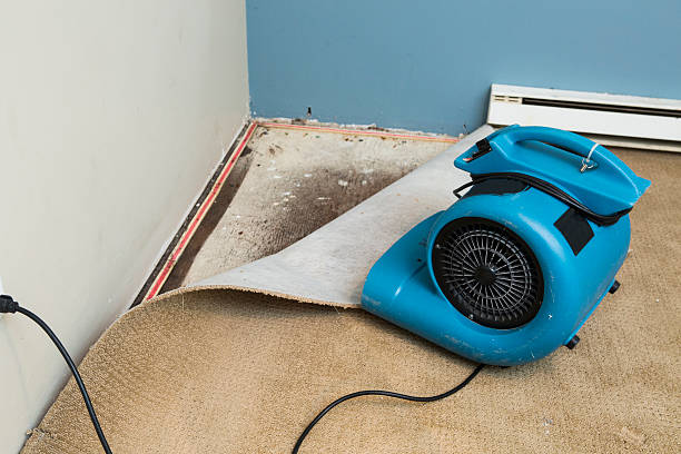 Best Commercial water damage restoration  in St Pete Beach, FL